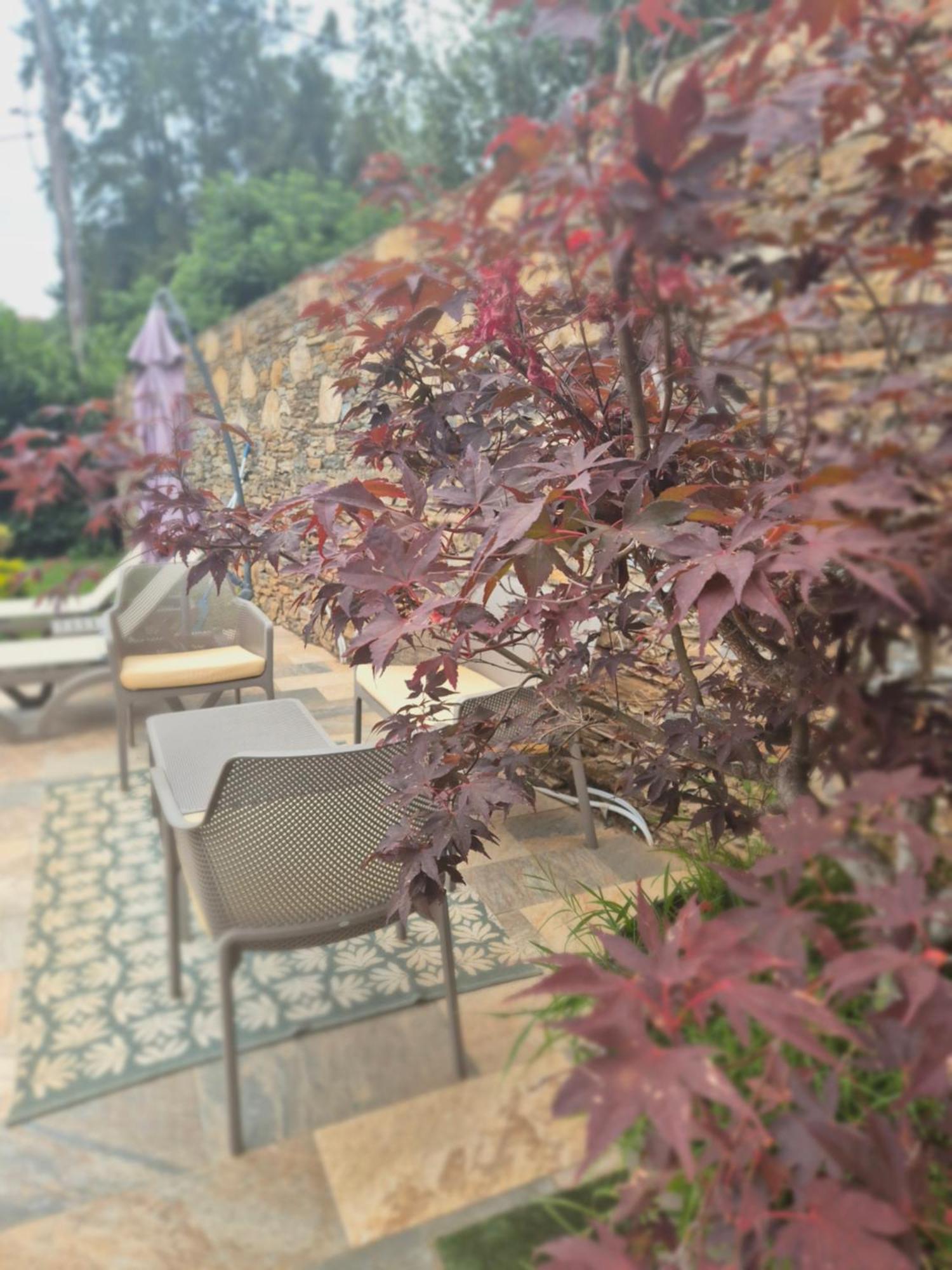 Rez de villa avec piscine, wifi, jardin clôturé Penta di Casinca Esterno foto